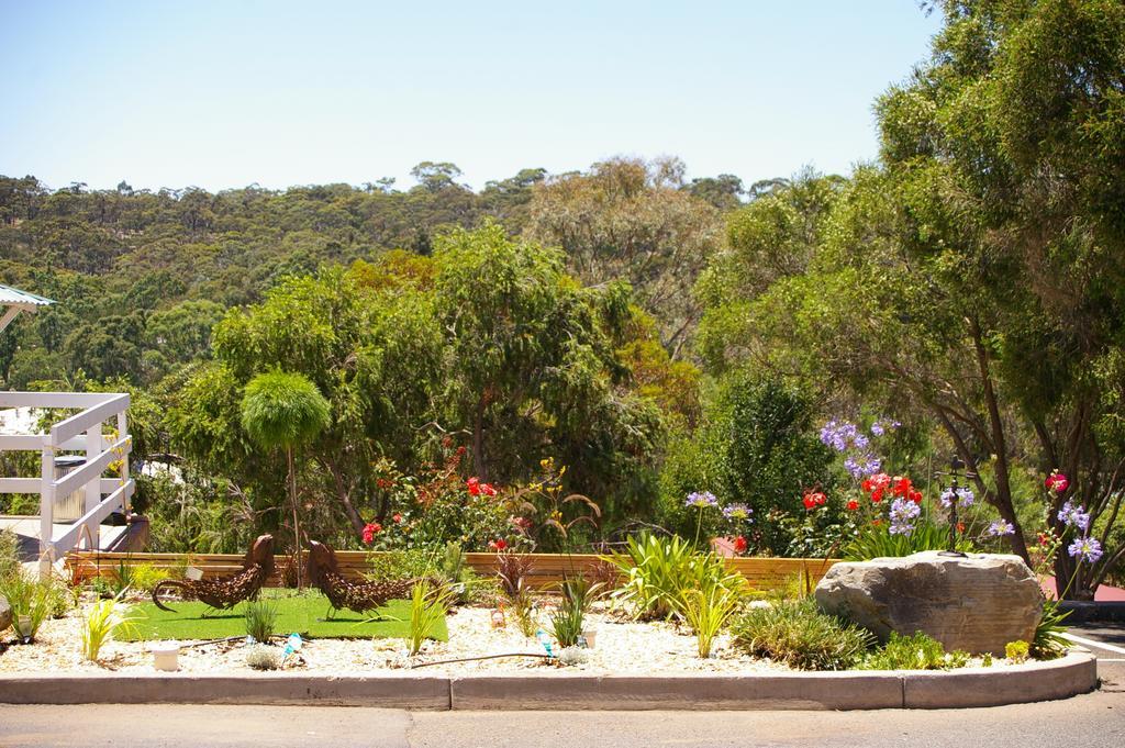 Clare Valley Motel Zewnętrze zdjęcie