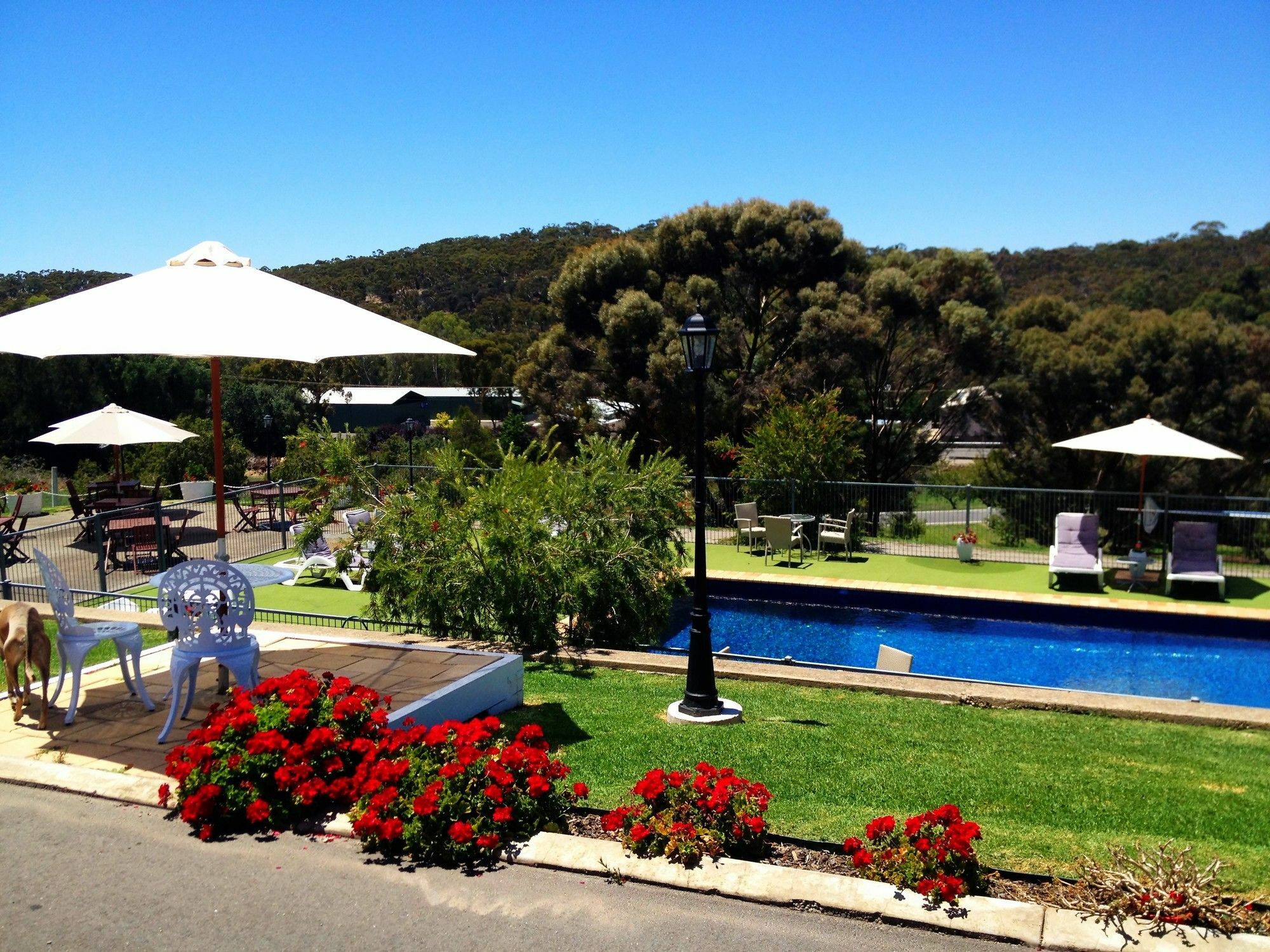 Clare Valley Motel Zewnętrze zdjęcie