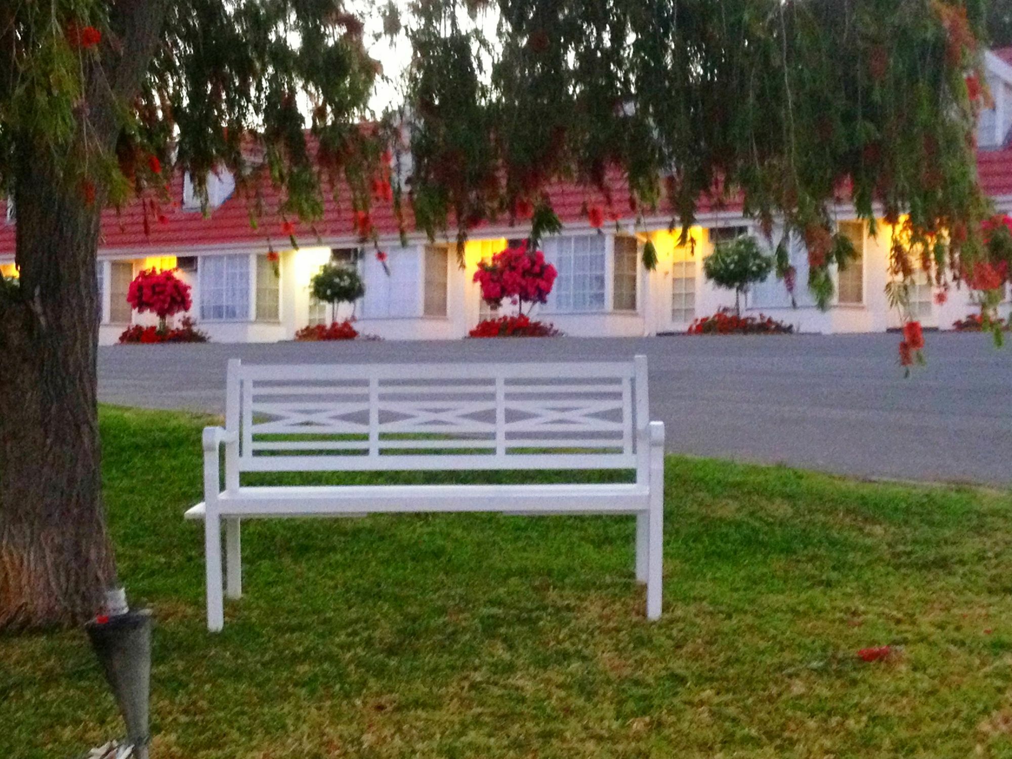 Clare Valley Motel Zewnętrze zdjęcie